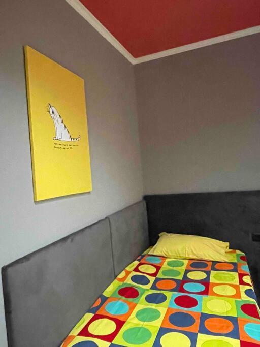The House Of Colors Apartment *