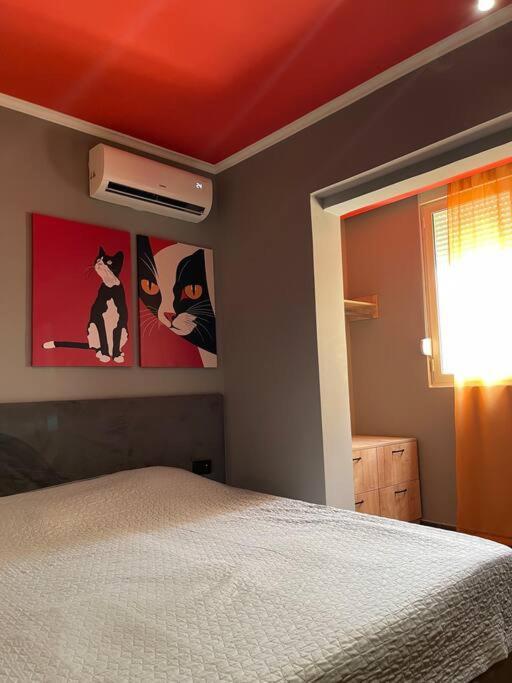 The House Of Colors Apartment Tirana